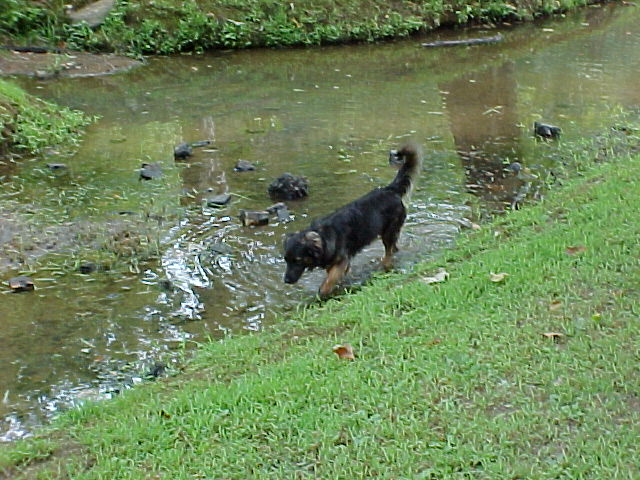Picture