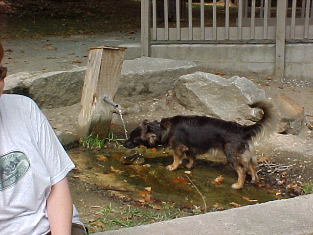 Picture